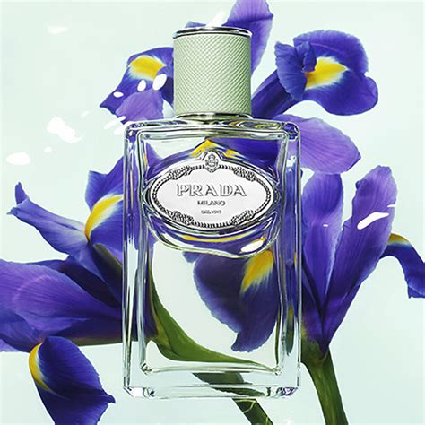 prada iris lotion|prada les infusions iris.